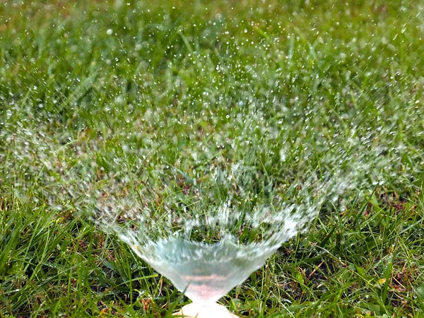 Clean Water Flows Out Plastic Spray Nozzle Watering Green Grass — Stock Photo, Image