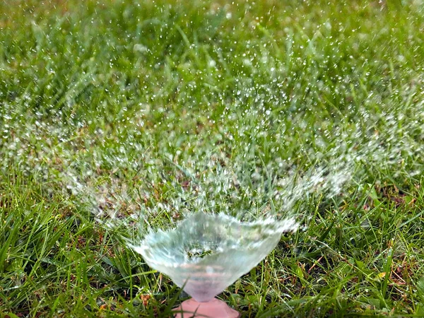 Água Limpa Flui Através Bico Pulverização Plástico Regar Grama Verde — Fotografia de Stock