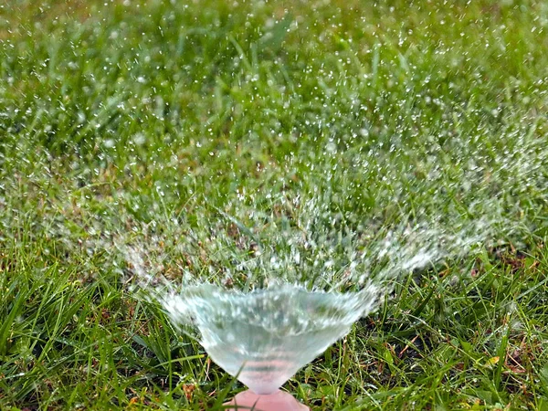 Clean Water Flows Out Plastic Spray Nozzle Watering Green Grass — Stock Photo, Image