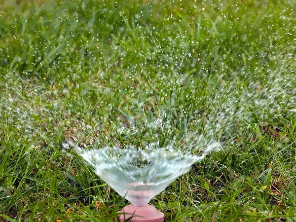 浇灌草坪上的青草时 清澈的水从塑料喷口流出 — 图库照片