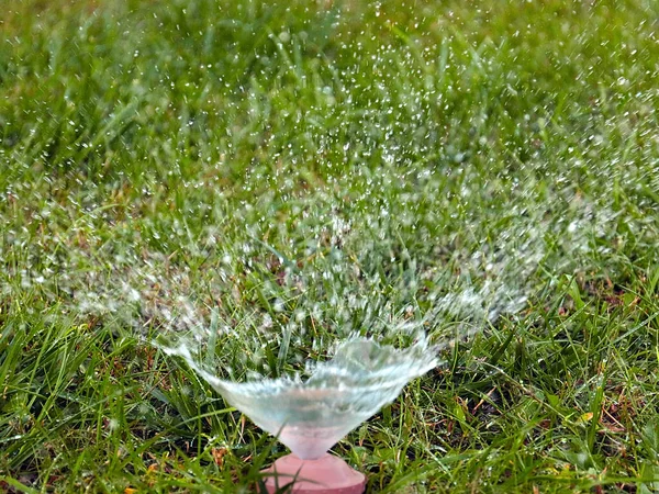 Água Limpa Flui Através Bico Pulverização Plástico Regar Grama Verde — Fotografia de Stock