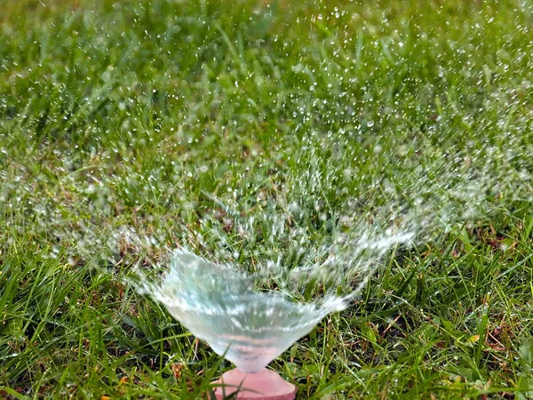 Rent Vatten Rinner Genom Ett Plastmunstycke När Vattnar Gräsmattans Gröna — Stockfoto