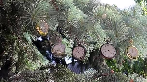 Orologio Tasca Vinvascar Appeso Rami Dell Albero Natale Orologio Tasca — Video Stock