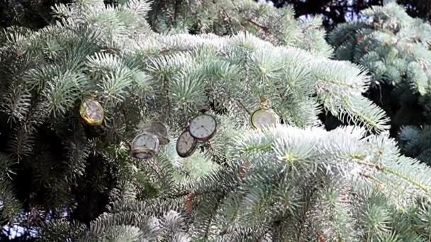 クリスマスツリーの枝に吊るされたヴィンテージポケットウォッチ — ストック動画