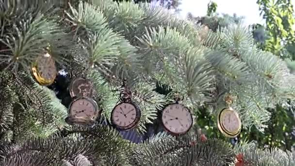 Винтажные Карманные Часы Висящие Ветвях Рождественской Елки — стоковое видео