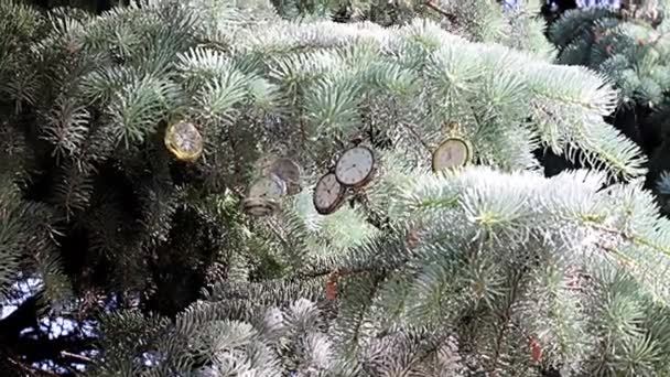 Reloj Bolsillo Vintage Colgando Las Ramas Del Árbol Navidad — Vídeo de stock