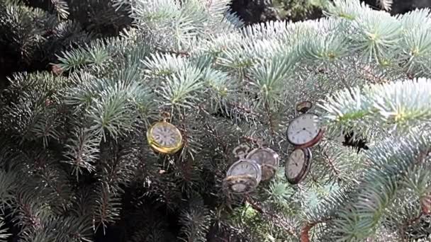 クリスマスの松の枝にぶら下がって絶妙なアンティークポケットウォッチ — ストック動画