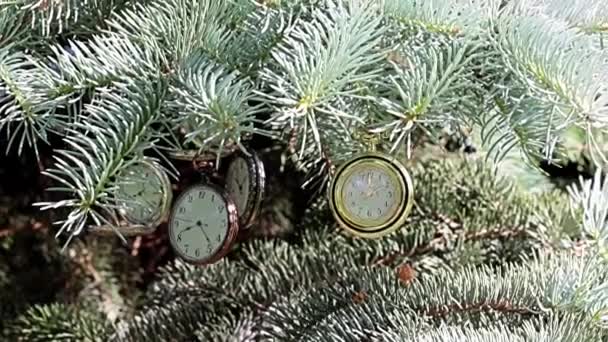 Prachtige Antieke Zakhorloge Opknoping Takken Van Kerstboom — Stockvideo