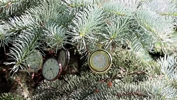 精美的古董怀表挂在圣诞树树枝上 — 图库视频影像