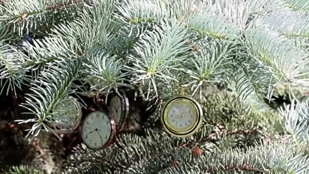 Prachtige Antieke Zakhorloge Opknoping Takken Van Kerstboom — Stockvideo