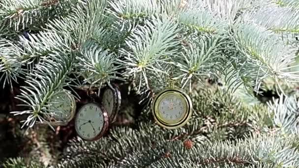 精美的古董怀表挂在圣诞树树枝上 — 图库视频影像