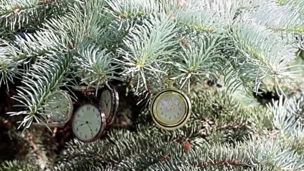 Εξαιρετικό Ρολόι Τσέπης Αντίκα Κρέμεται Κλαδιά Του Πεύκου Των Χριστουγέννων — Αρχείο Βίντεο