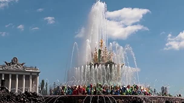 Beau Jet Eau Claire Fontaine Pierre Fleur Dans Parc Ville — Video