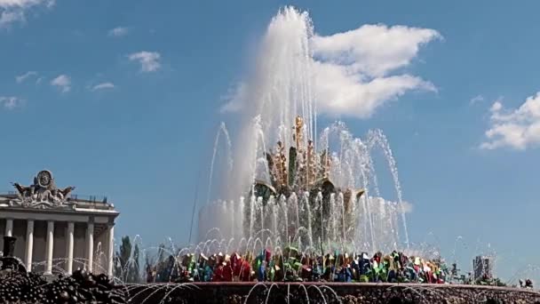 Beau Jet Eau Claire Fontaine Pierre Fleur Dans Parc Ville — Video