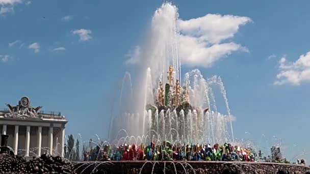 Beau Jet Eau Claire Fontaine Pierre Fleur Dans Parc Ville — Video