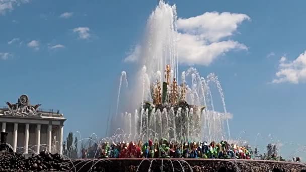 Krásný Proud Čisté Vody Fontány Kamenný Květ Parku Města Moskvy — Stock video
