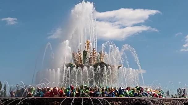 Прекрасний Струмінь Чистої Води Фонтану Кам Яна Квітка Парку Міста — стокове відео