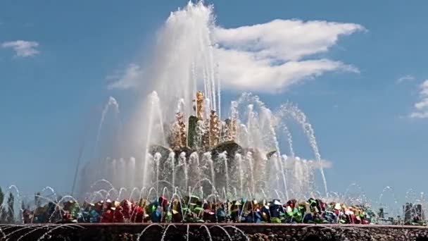 俄罗斯莫斯科市公园里一缕清澈清澈的水花 — 图库视频影像