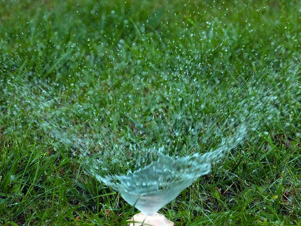 庭の芝生にプラスチック噴霧器で水をやり — ストック写真