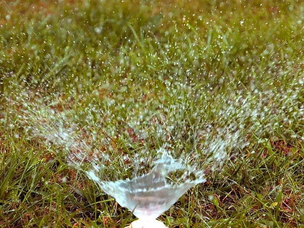 Regar Sua Grama Jardim Gramado Com Pulverizador Plástico — Fotografia de Stock