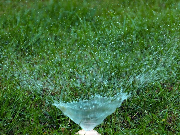 Regar Sua Grama Jardim Gramado Com Pulverizador Plástico — Fotografia de Stock