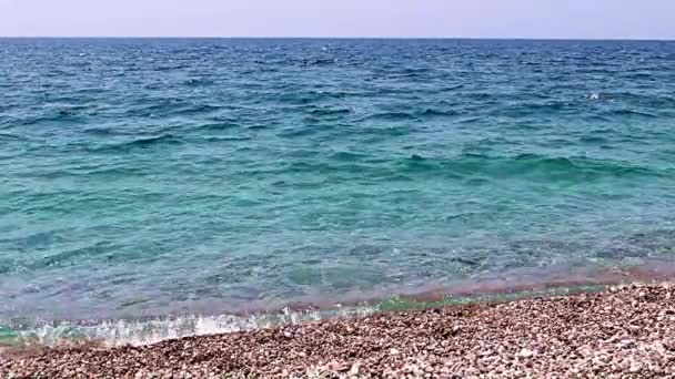 Красиві Хвилі Гальковий Морський Пляж Місце Активного Відпочинку — стокове відео
