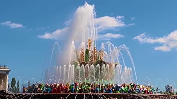 Chorros Agua Clara Fuente Flores Piedra Parque Ciudad Moscú Rusia — Vídeos de Stock