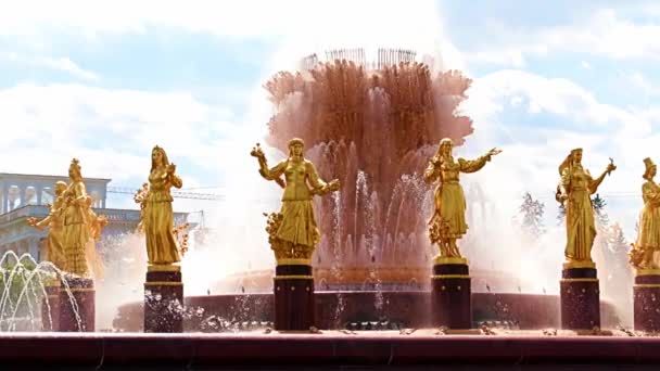 Jets Clear Water Friendship Peoples Fountain Park City Moscow Russia — Stock Video