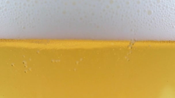 Feine Luftblasen Schaum Des Leichten Bieres — Stockvideo