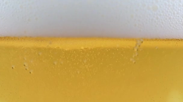 Fine Air Bubbles Foam Light Beer — Stock Video