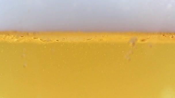 淡啤酒泡沫中的微细气泡 — 图库视频影像