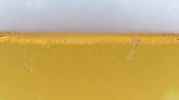 Φυσαλίδες Λεπτού Αέρα Στον Αφρό Της Ελαφριάς Μπύρας — Αρχείο Βίντεο