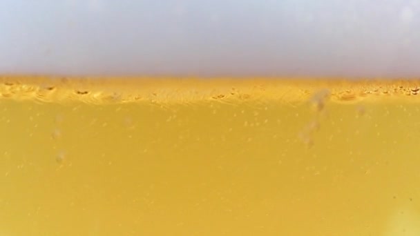 Fijne Luchtbellen Het Schuim Van Licht Bier — Stockvideo