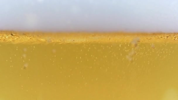 Burbujas Aire Fino Espuma Cerveza Ligera — Vídeos de Stock