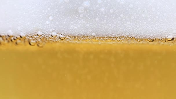 Hermosa Corriente Burbujas Oxígeno Vaso Cerveza Ligera — Vídeos de Stock