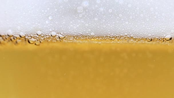 Belle Coulée Bulles Oxygène Dans Verre Bière Légère — Video