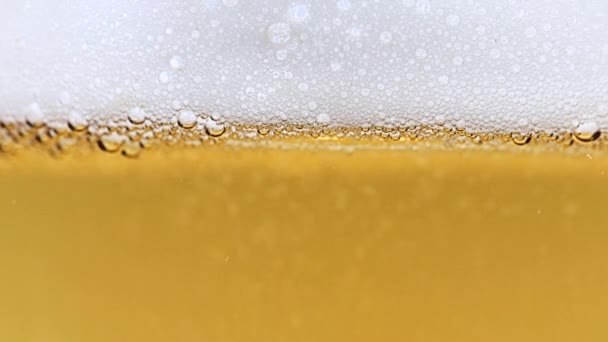 光のビールの中で酸素の泡が飛び交う — ストック動画