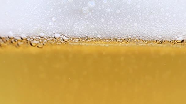 Lovely Rushing Stream Oxygen Bubbles Glass Light Beer — Stock Video