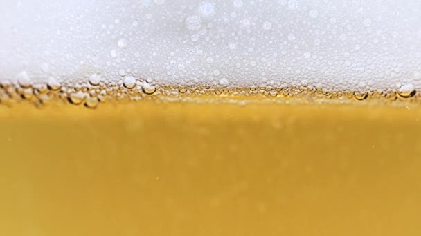 Belle Coulée Bulles Oxygène Dans Verre Bière Légère — Video