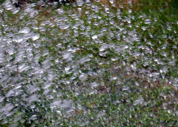 Rapid Drops Stream Clean Water Watering Grass Lawn — Stock Photo, Image