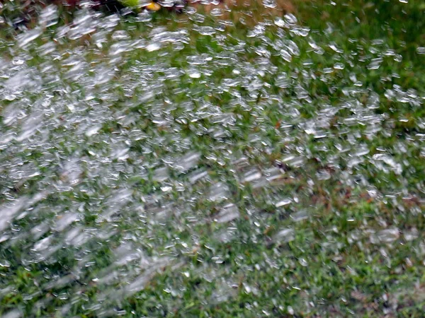 Gotas Rápidas Córrego Água Limpa Molhar Grama Gramado — Fotografia de Stock