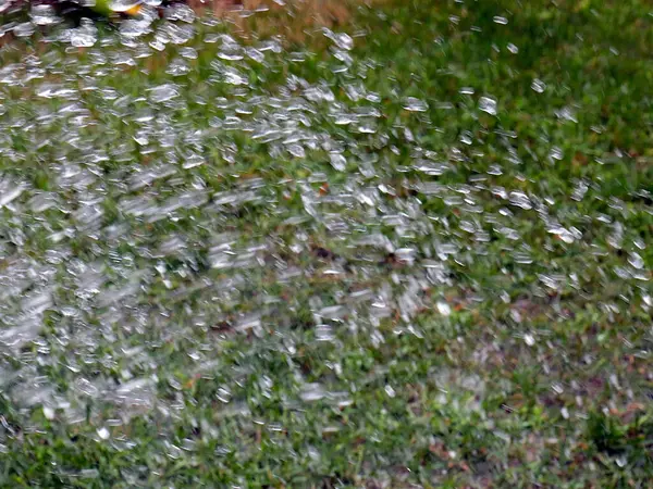 Gotas Rápidas Córrego Água Limpa Molhar Grama Gramado — Fotografia de Stock