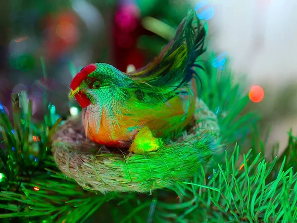 Pâques Poule Dans Nid Éclairage Coloré Festif — Photo