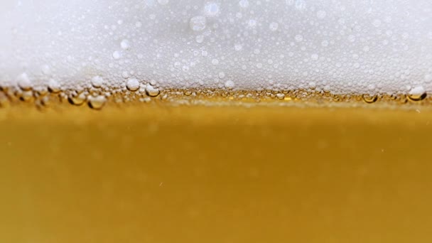 Air Bubbles Light Beer Foam — Stock Video