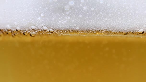 Air Bubbles Light Beer Foam — Stock Video