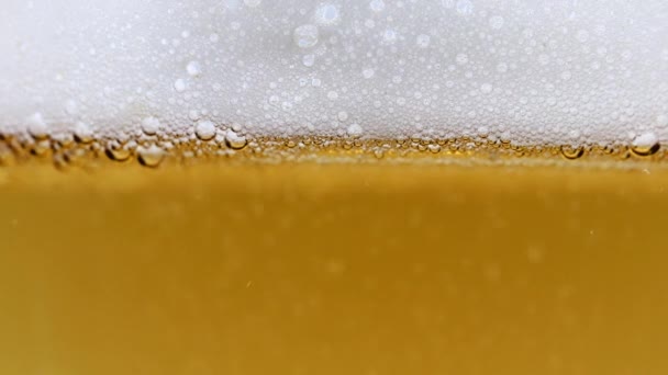 Air Bubbles Light Beer Foam — Stock Video