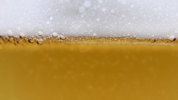 Hafif Bira Köpüğünde Hava Kabarcıkları — Stok video
