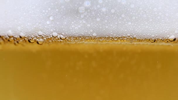Burbujas Aire Espuma Cerveza Ligera — Vídeo de stock