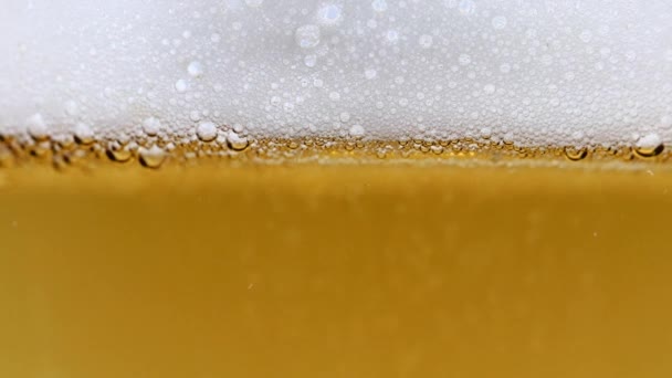 Air Bubbles Light Beer Foam — Stock Video