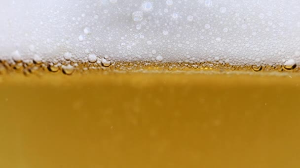 Air Bubbles Light Beer Foam — Stock Video